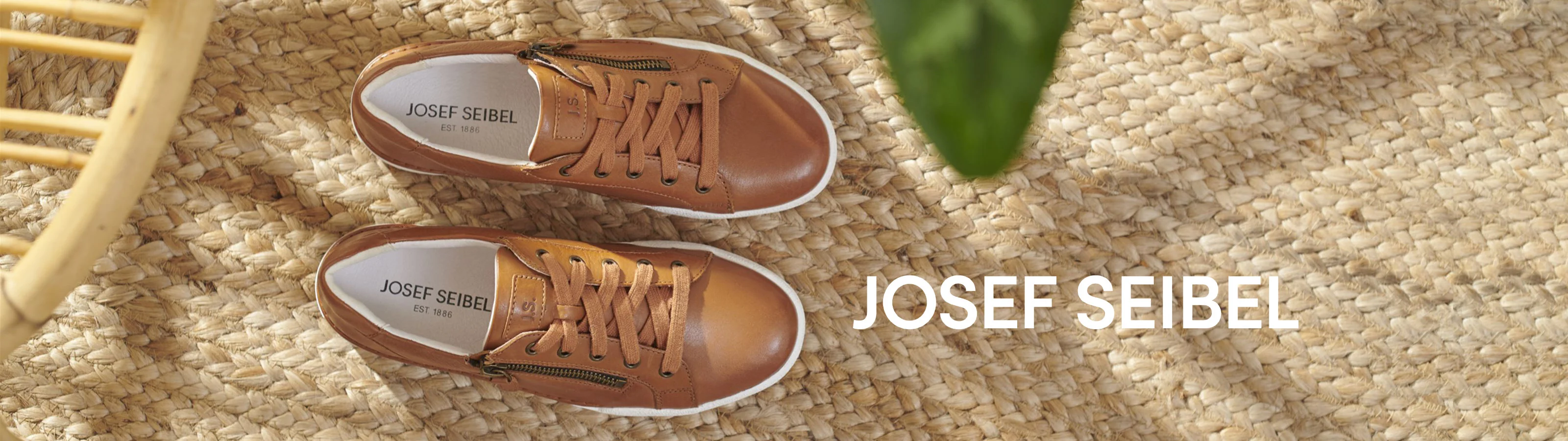 Step Into Pure Comfort Today